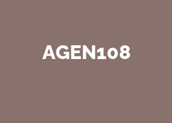 Agen108 Slot Online Gacor: Mainkan Slot Online RTP Tinggi!