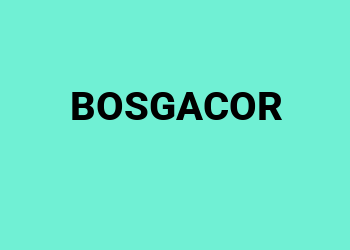 Bosgacor Server Slot Online Gacor Kemenangan Besar!