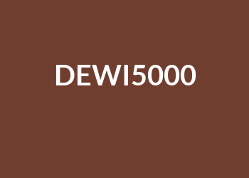 Dewi5000 Server Slot Online Gacor Kemenangan Besar!