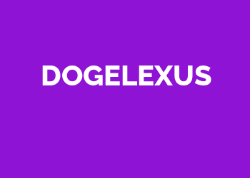 Dogelexus Slot Online Gacor: Mainkan Slot Online RTP Tinggi!