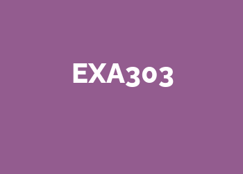 Exa303 Server Slot Online Gacor Kemenangan Besar!