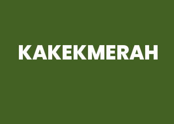 Kakekmerah Slot Online Gacor: Mainkan Slot Online RTP Tinggi!
