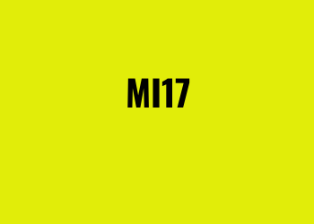 Mi17 Server Slot Online Gacor Kemenangan Besar!