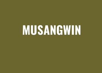 Musangwin Server Slot Online Gacor Kemenangan Besar!