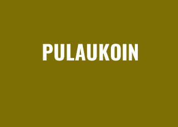 Pulaukoin Server Slot Online Gacor Kemenangan Besar!