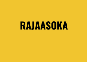 Rajaasoka Slot Online Gacor: Mainkan Slot Online RTP Tinggi!